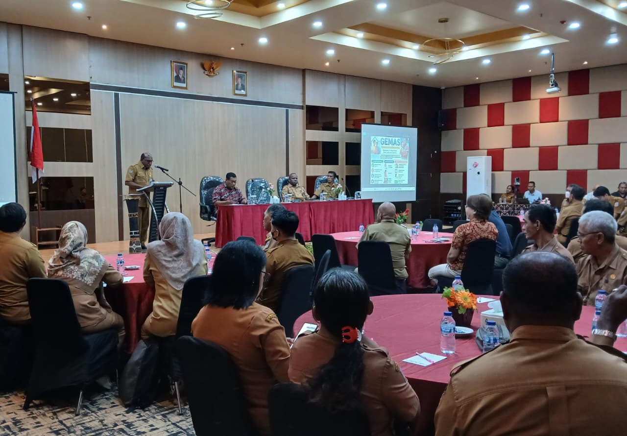 Pemprov Papua Selatan Finalisasi Rapergub Perlindungan Sosial Gemas Ha-Anim